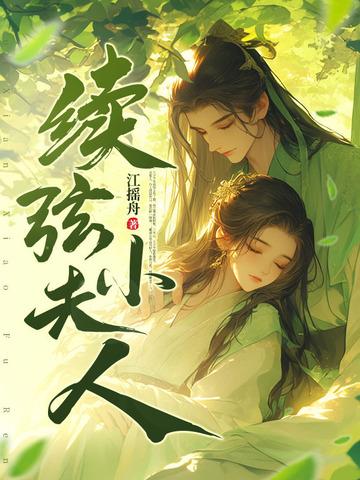 续弦小夫人全文免费