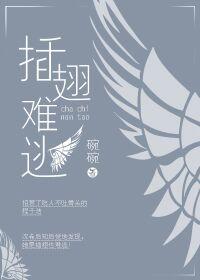 插翅难逃大哥成