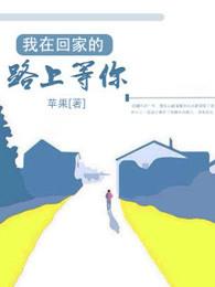 我在回家的路上等你 我在回家的路上等你